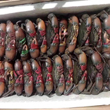 13只 缅甸蟹小青蟹肉蟹煲砂锅粥鲜活冰冻螃蟹海鲜水产品每公斤11