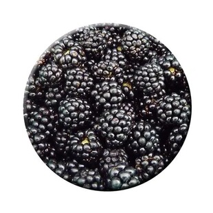 黑莓果 远东春生鲜 顺丰 京津冀满68 新鲜水果 包邮 黑莓