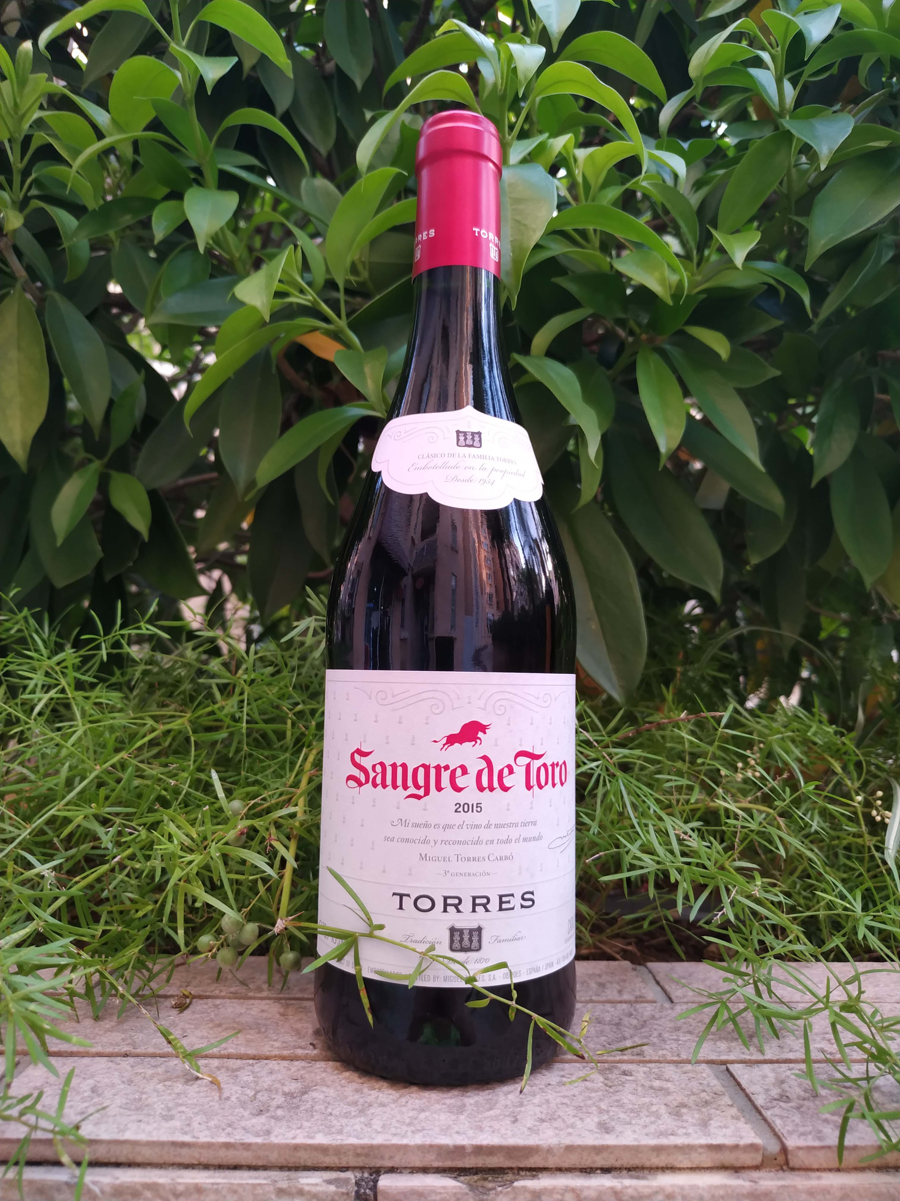 wine toro catalunya Sangre 桃乐丝公牛血红葡萄酒Torres