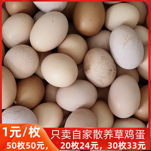 包邮 如皋农家草鸡蛋50枚土鸡蛋农村散养五谷杂草蔬菜新鲜柴鸡蛋