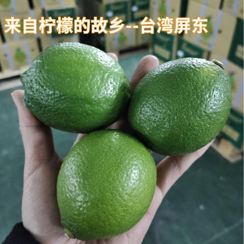 新鲜柚香优力克原装 屏东产地有籽水果5斤 包邮 四季 台湾青柠檬1斤装