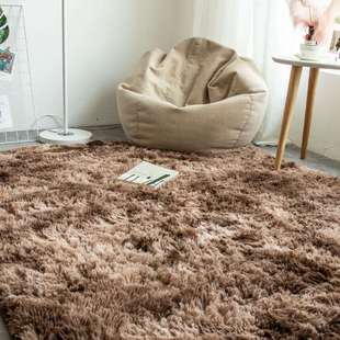 北欧ins地毯卧室定制地垫客厅满铺可爱圆形茶几床边长毛现代 新款