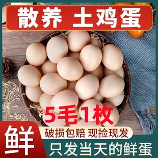包邮 新鲜农家正宗土鸡蛋40枚农家散养草鸡蛋柴鸡蛋孕妇月子蛋整箱