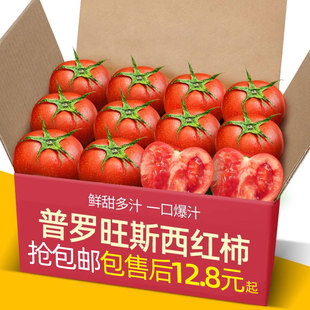 9斤新鲜沙瓤大番茄水果粉柿子 山东自然熟普罗旺斯生吃西红柿5