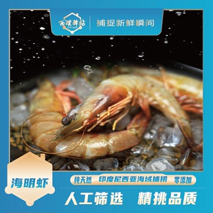 野捕海明虾 进口 原生态 原装 顺丰 活冻新鲜 绿色健康