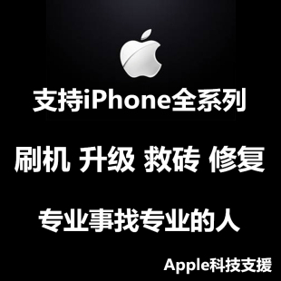 适用于苹果手机iPhone6 13Pro远程刷机维修平板ipad