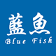 蓝鱼bluefish