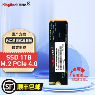512G KP260 pcie4.0长江晶圆 SSD固态硬盘M.2 NVMe 1TB