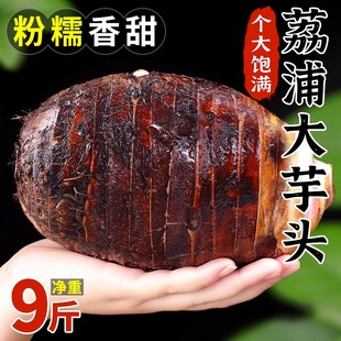 包邮 广西新鲜大芋头9斤农家特产紫藤毛芋头香芋槟榔芋蔬菜