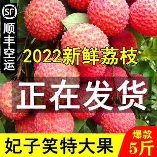2022新鲜海南妃子笑荔枝现摘当季 水果顺丰 包邮