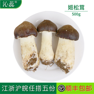 姬松茸新鲜松茸菇500g巴西菇松茸 沁蕊