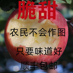 陕西洛川片红条红苹果红富士正宗水果新鲜脆甜80果5斤大果顺丰包