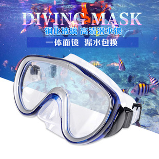 备男女通用大镜框玻璃面罩浮潜面镜护目眼镜游泳潜水镜 成人潜水装