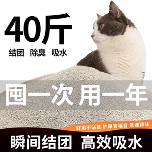 猫砂膨润土除臭无尘40斤10公斤20kg猫沙柠檬味吸水活性炭宠物用品