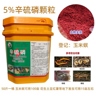 5%辛硫磷颗粒地下害虫杀虫剂金针虫地老虎羊肚菌蜜薯蔬菜土豆农药