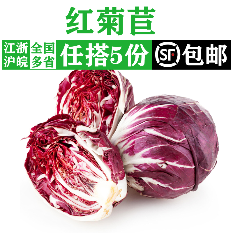 生吃新鲜蔬菜沙拉轻食食材 满5件 包邮 红菊苣紫苣 落地红生菜500g