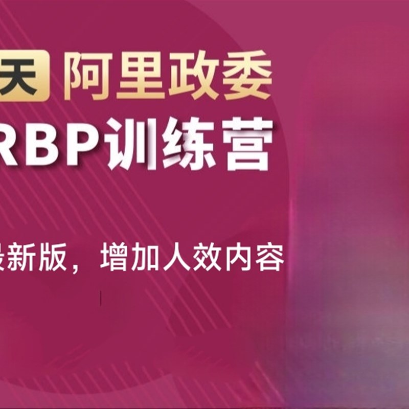 张琳24天HRBP高手训练视频企业人力资源HR三支柱文化体系管理课程