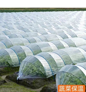 小拱棚大棚二膜透明塑料薄膜塑料布地膜农用育苗防寒保温种菜防尘