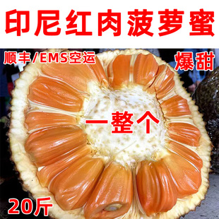 波罗蜜10斤20斤40斤产地直发 包邮 印尼红肉菠萝蜜一整个新鲜水果