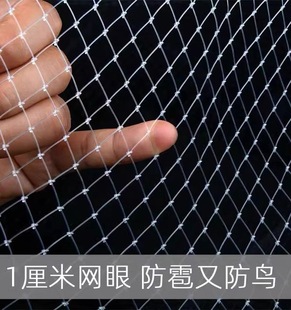 丝网防鸟罩小孔菜地围 小网孔1厘米农用果树防鸟网用网护网隔离