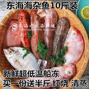 包邮 送半斤东海海杂鱼新鲜冷冻深海鱼海鲜水产品少刺无冰衣 10斤装