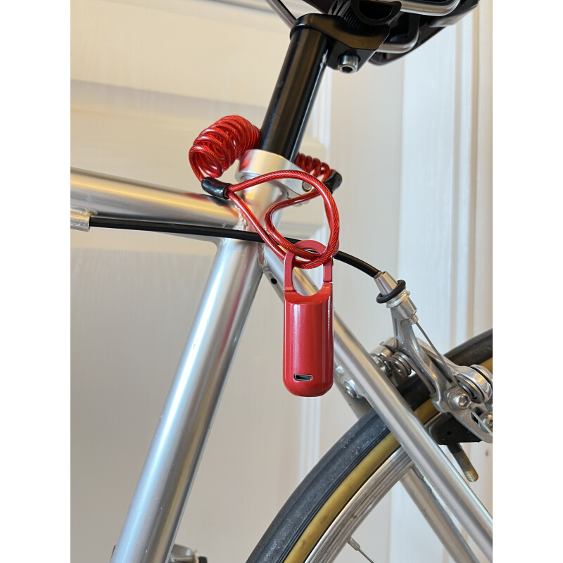 复古自行车锁便携抗液压剪防盗可爱轻量化链条 黑科技指纹密码