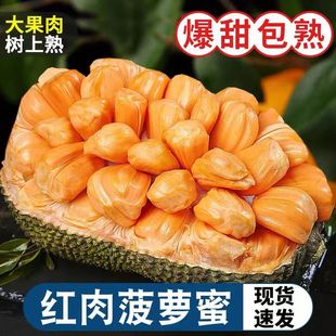 越南红肉菠萝蜜红心新鲜水果当季 包邮 20斤一整个大果 木波罗蜜8