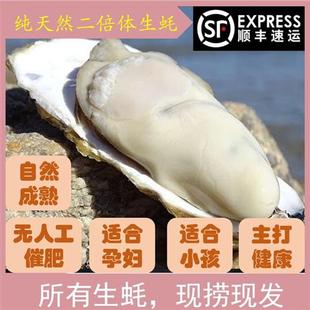 特大带壳牡蛎即食海蛎威海海鲜 包邮 乳山野生生蚝鲜活10斤一箱保肥