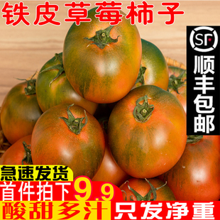 正宗丹东草莓柿子西红柿新鲜碱地铁皮柿子自然熟生吃水果番茄顺丰