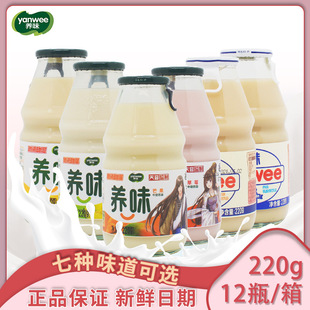 箱 12瓶 养味牛奶乳酸菌饮品儿童饮料网红甜牛奶水果味早餐奶220g