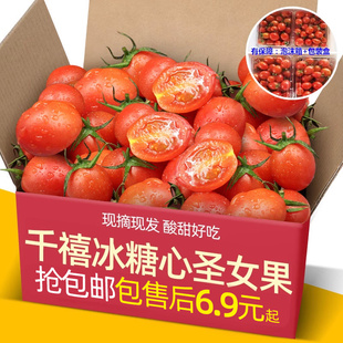 正宗福建千禧冰糖心圣女果5斤新鲜水果西红柿自然熟蔬菜小番茄