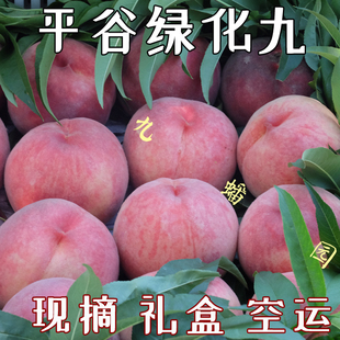 现摘北京绿化九水蜜桃9号毛桃脆桃软甜桃子平谷大桃新鲜水果礼盒