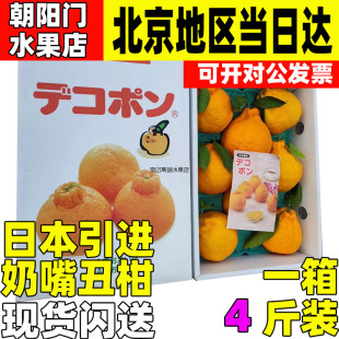 包邮 日本引进大分奶嘴丑柑现货大果礼盒丑橘柑橘新鲜水果顺丰空运