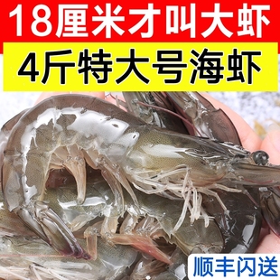 新鲜大虾鲜活超大基围虾青岛特大青虾冷冻对虾白虾海虾类海鲜水产