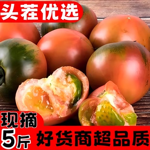 东北特产铁皮草莓柿子蕃茄碱地新鲜水果西红柿自然熟绿腚即食番茄