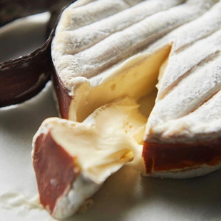 Sangle发酵软质带子糖心芝士农坊小众白霉奶酪 进口Le 法国原装