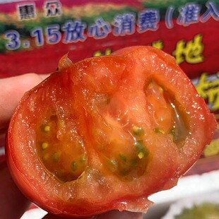 顺丰 盘锦盐碱地柿子5斤整箱铁皮草莓柿子新鲜水果西红柿 包邮