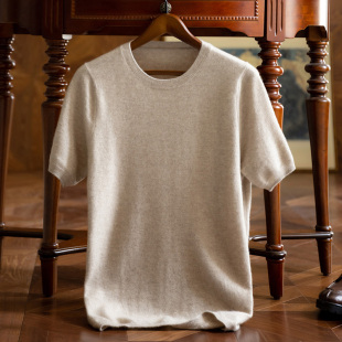 秋冬季 男士 圆领针织打底羊毛半袖 短袖 毛衣体恤衫 T恤100纯山羊绒衫