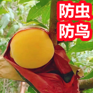 桃子套袋专用袋 黄桃套袋桃树套袋桃子专用套袋防虫 袋子 包桃子