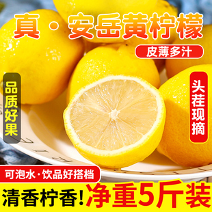 四川安岳黄柠檬新鲜皮薄多汁一二三级奶茶店专用商用批发香柠檬青