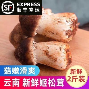 云南新鲜姬松茸香格里拉特产1000g野生菌菇巴西菇火锅烧烤食材