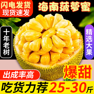 海南三亚黄肉干苞菠萝蜜10 方可食用 50斤新鲜水果 需要催熟