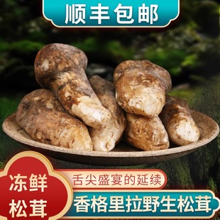 12CM香格里拉原皮速冻500g云南特产出口级冻鲜 松茸新鲜野生菌5