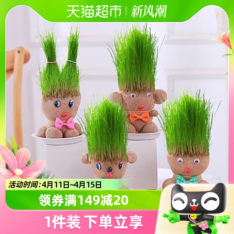创意长草娃娃小盆栽草头娃娃好养桌面绿植礼物水培儿童种植小植物