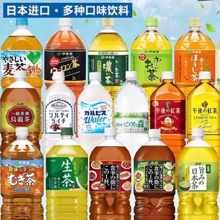 夏日饮料 现货日本进口麒麟可尔必思朝日三得利伊藤园超大瓶家庭装
