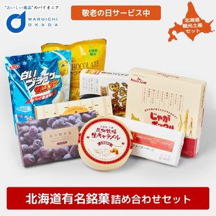 日本直邮北海道零食福袋饼干糖果组合菓子大礼包8种女朋友小吃