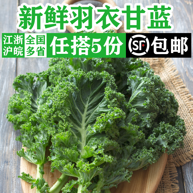 嫩叶甘兰kale健身榨汁蔬菜沙拉食材西餐配菜 新鲜羽衣甘蓝500g
