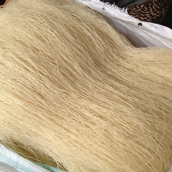 1斤 大米制作面条 米粉 面干散装 浙江台州临海土特产 小芝细米面