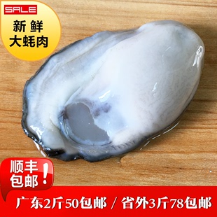 250g 包邮 生蚝肉鲜活现剥去壳牡蛎海鲜水产即食新鲜海蛎子肉4份起