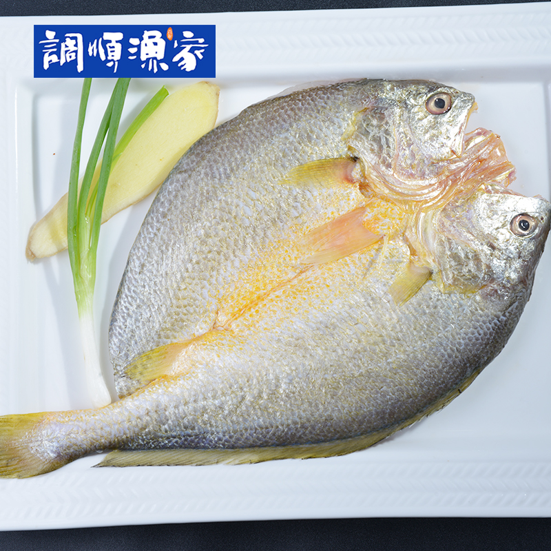 湛江海鲜水产鱼4条 黄花鱼 黄鱼 新鲜深海鱼 调顺渔家